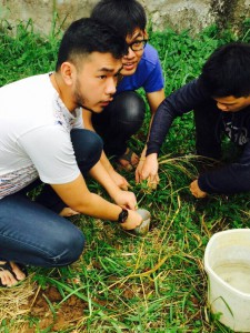 Proses Pemasangan pipa Pralon & Pemasukan Sampah Organik